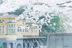 鎌北湖
