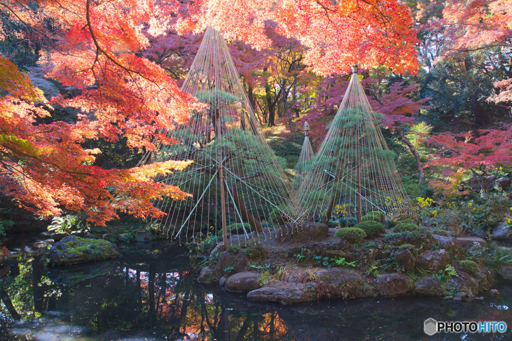 殿ヶ谷戸庭園