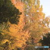 上尾丸山公園