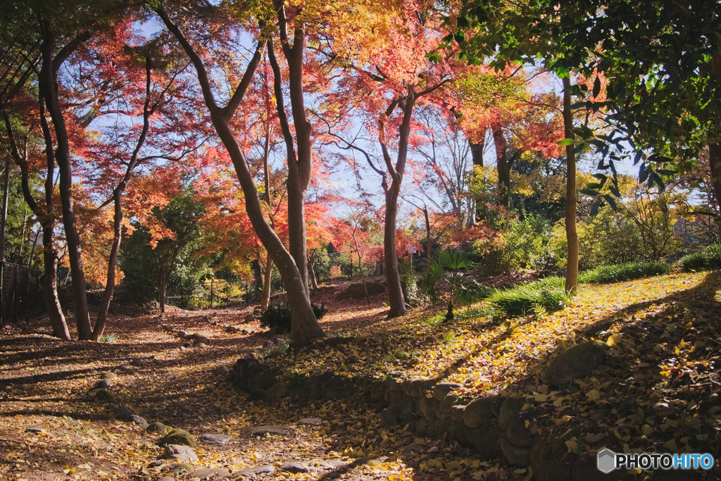 雀宮公園