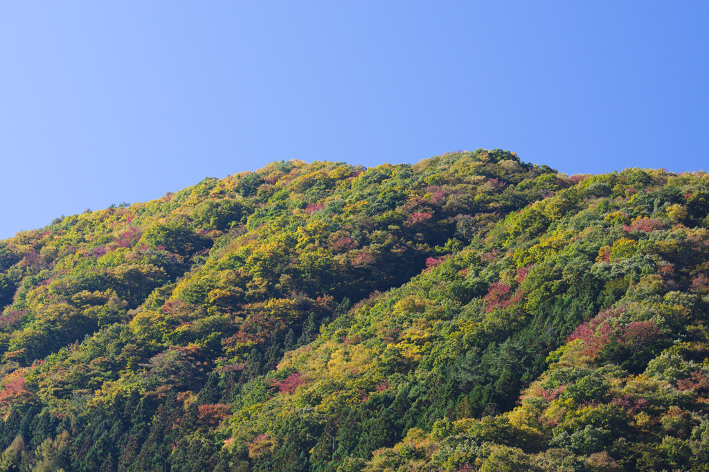 丹波山村水源公園