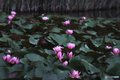 片倉城跡公園