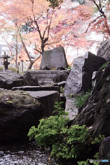 小金井市、貫井神社