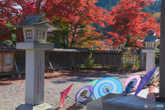 東郷公園