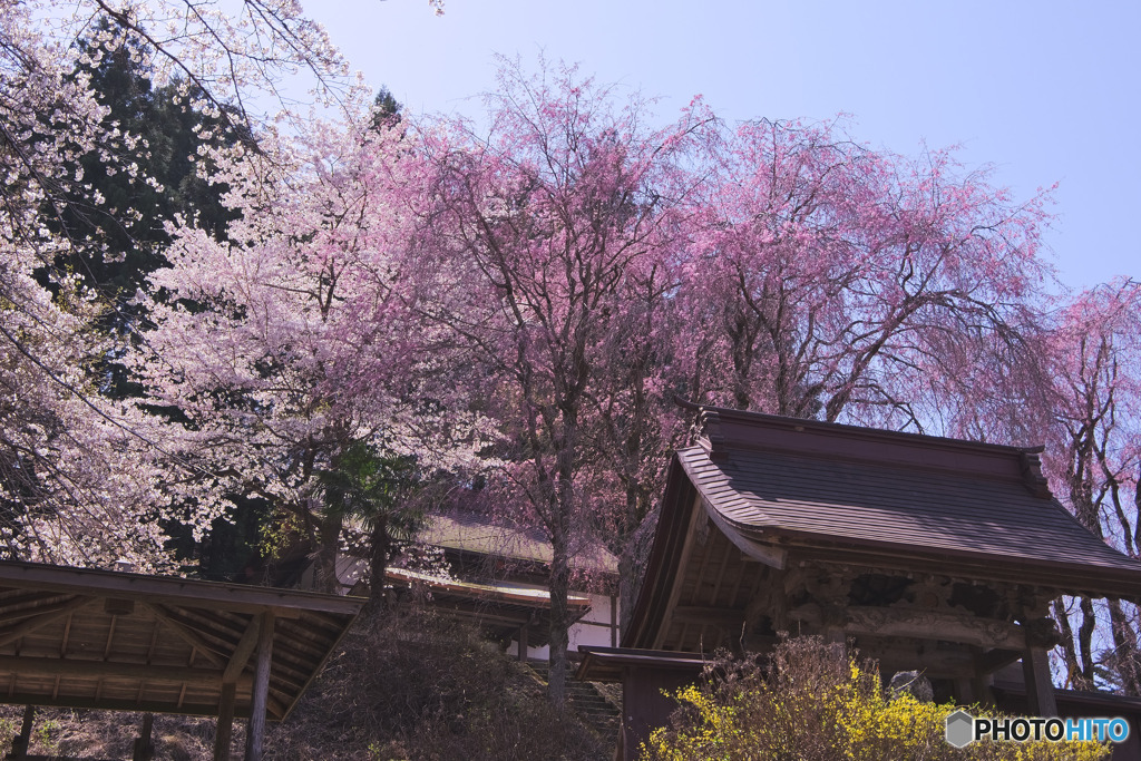 昌福寺