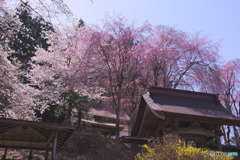 昌福寺