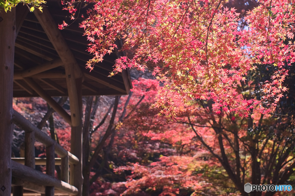 中間平緑地公園