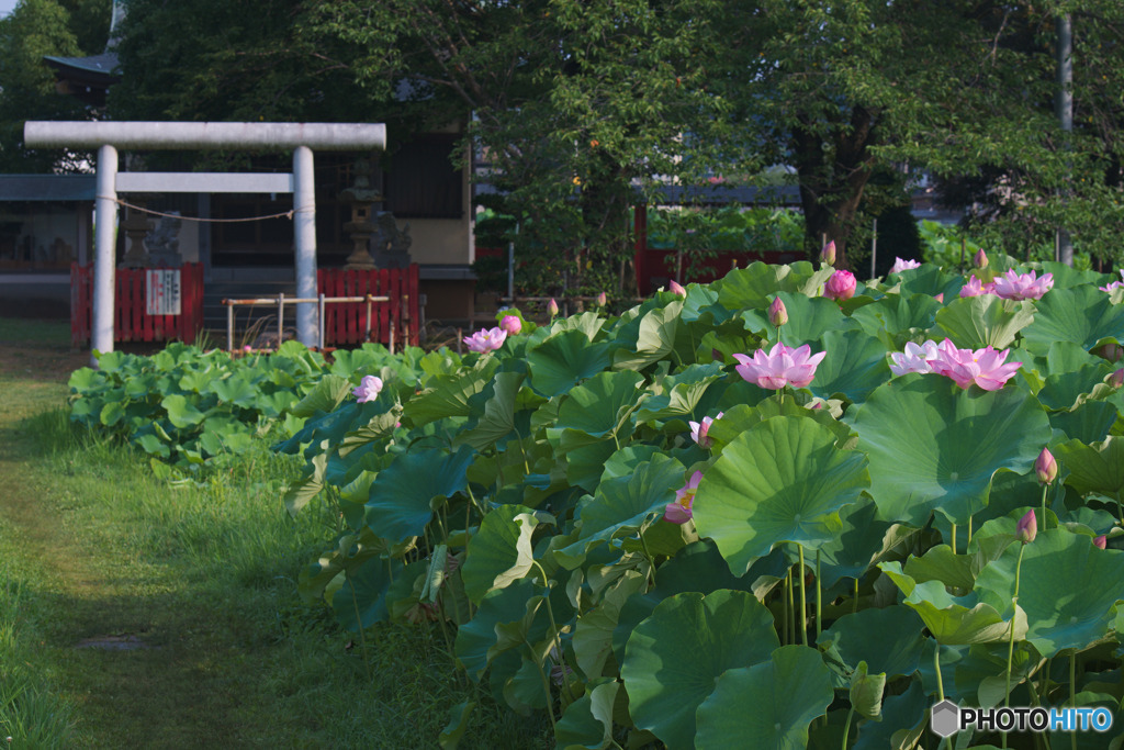 小山田神社
