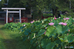 小山田神社