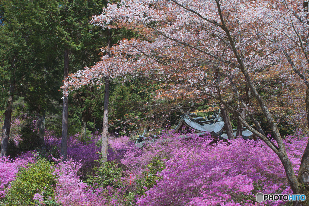 今熊神社