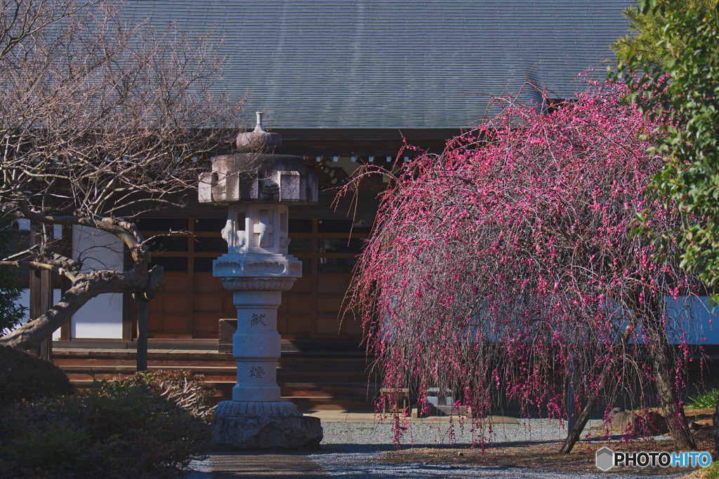 円通寺