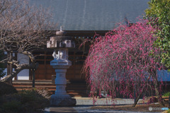 円通寺