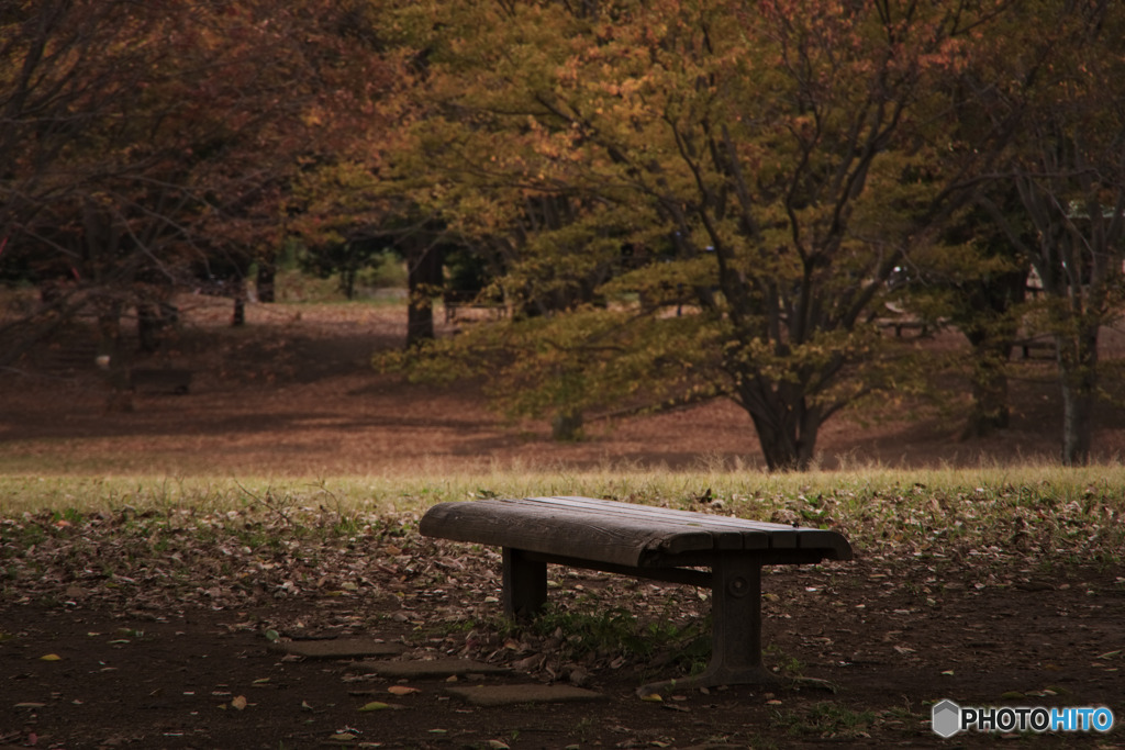 所沢、航空公園の秋