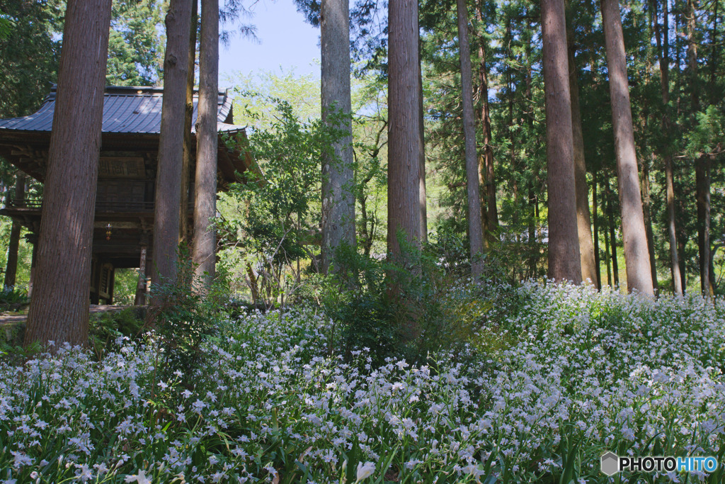 龍穏寺