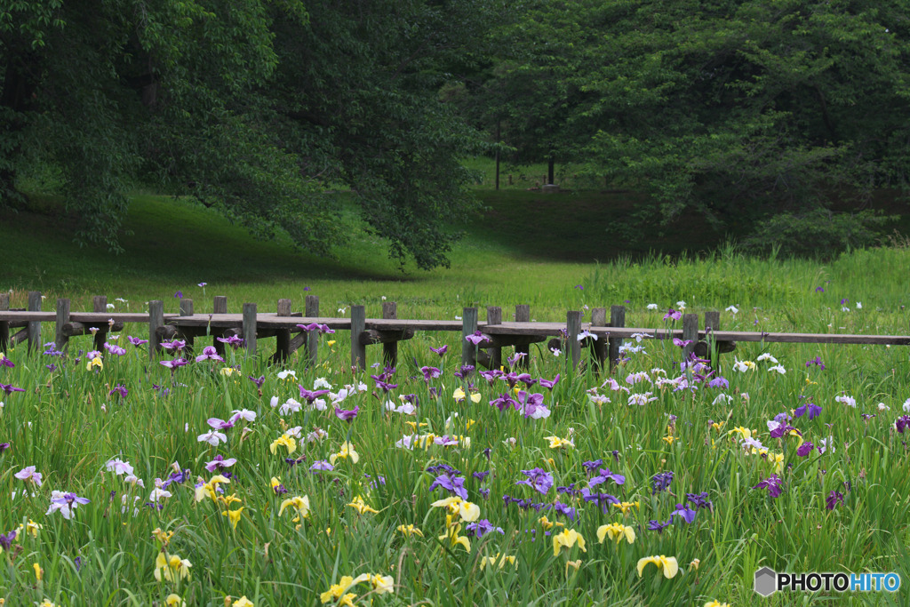 大宮第二公園