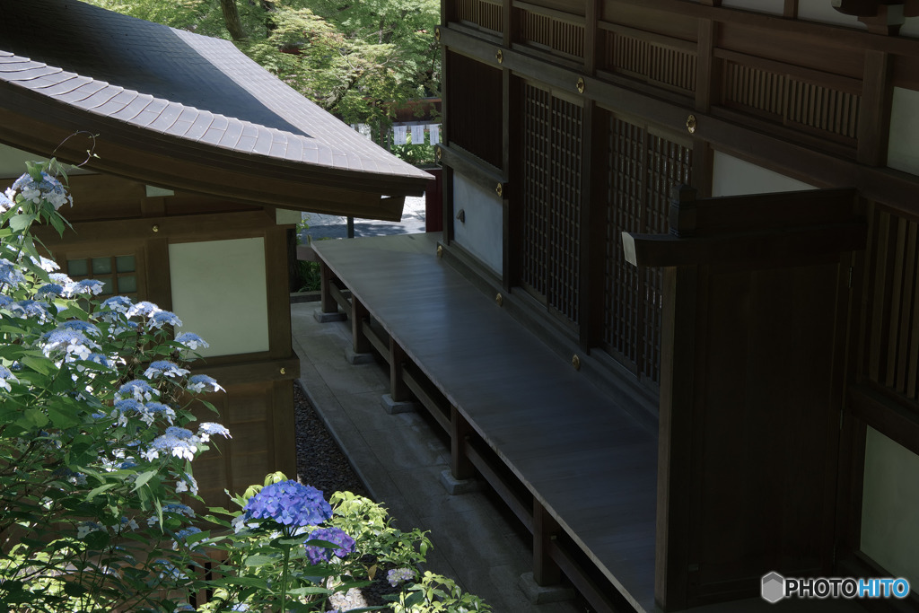 あじさいの寺