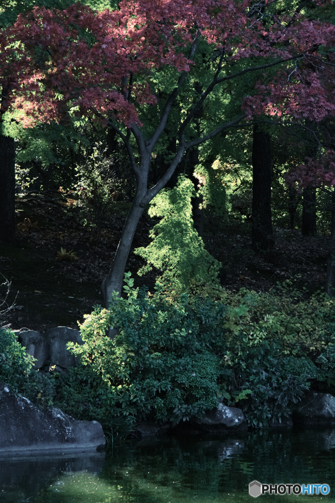 府中の森公園