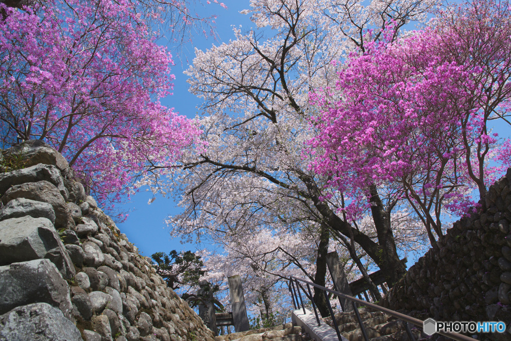 長念寺