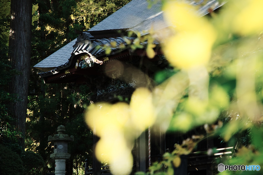 大悲願寺、観音堂