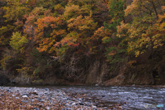 丹波山村水源公園