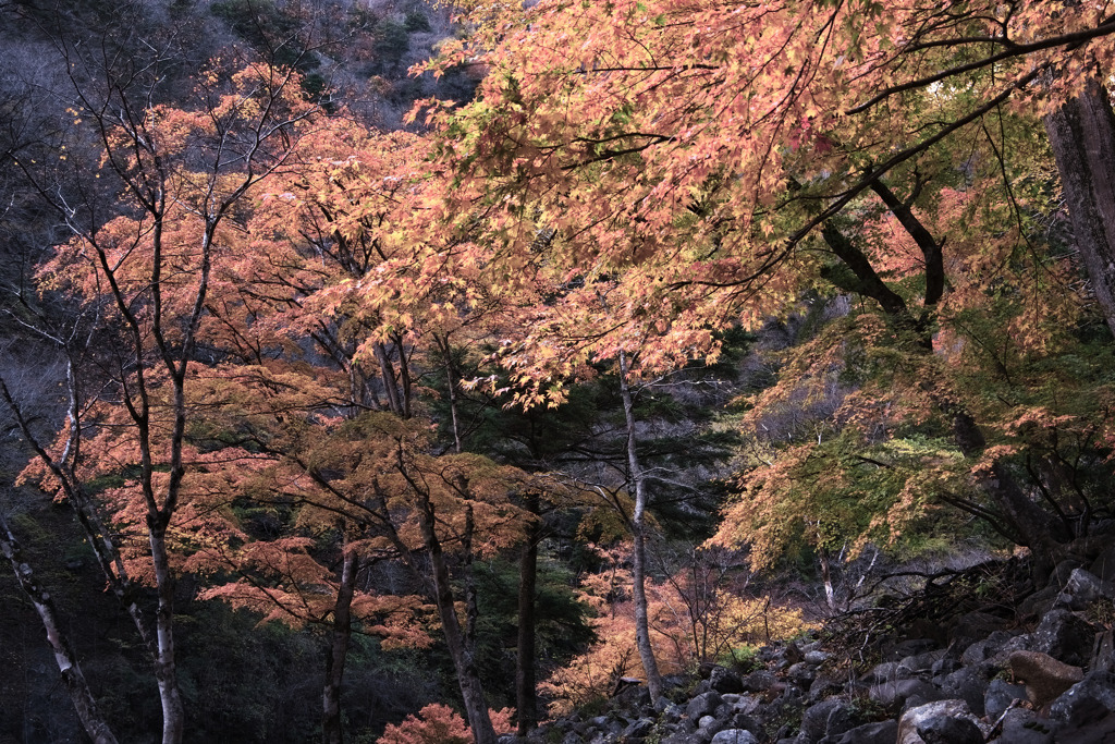 貯水池上流端広場