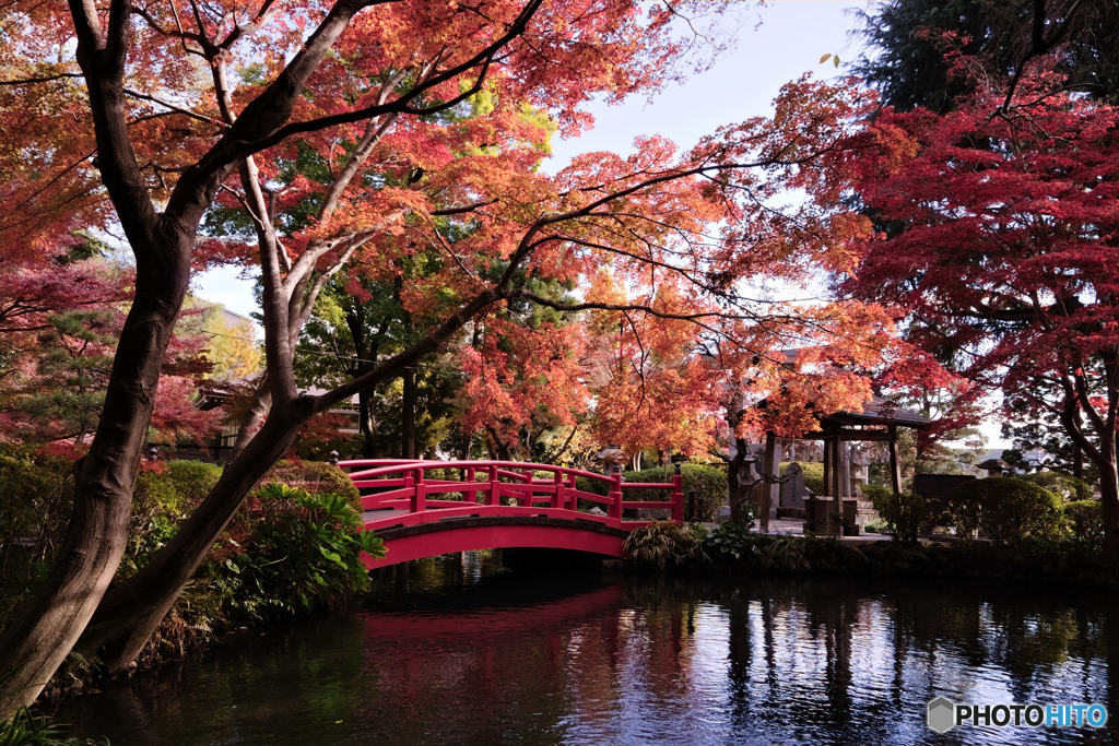 穴場