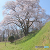 鉢形城公園