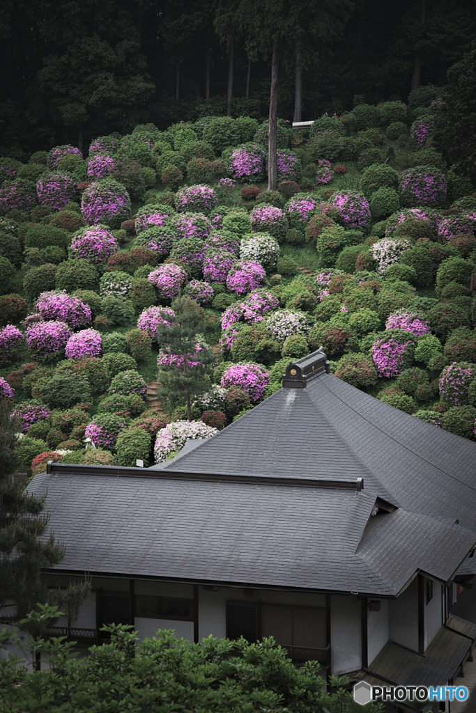 塩船観音寺