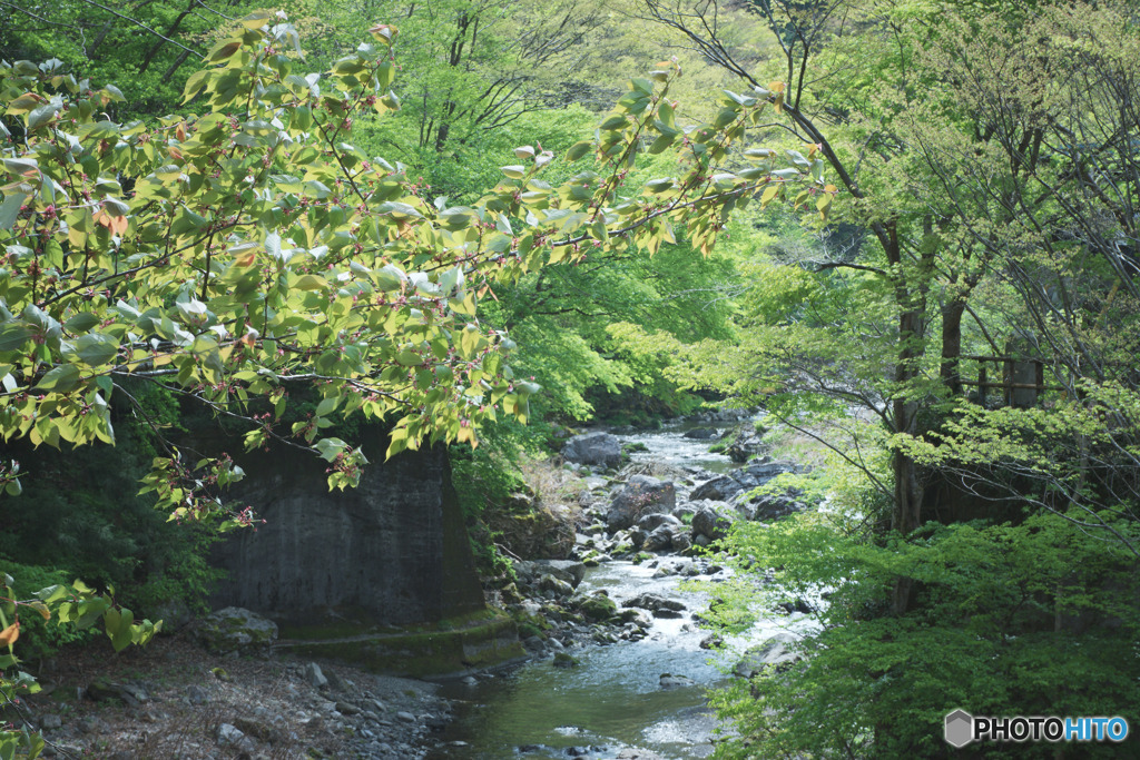 大沢橋