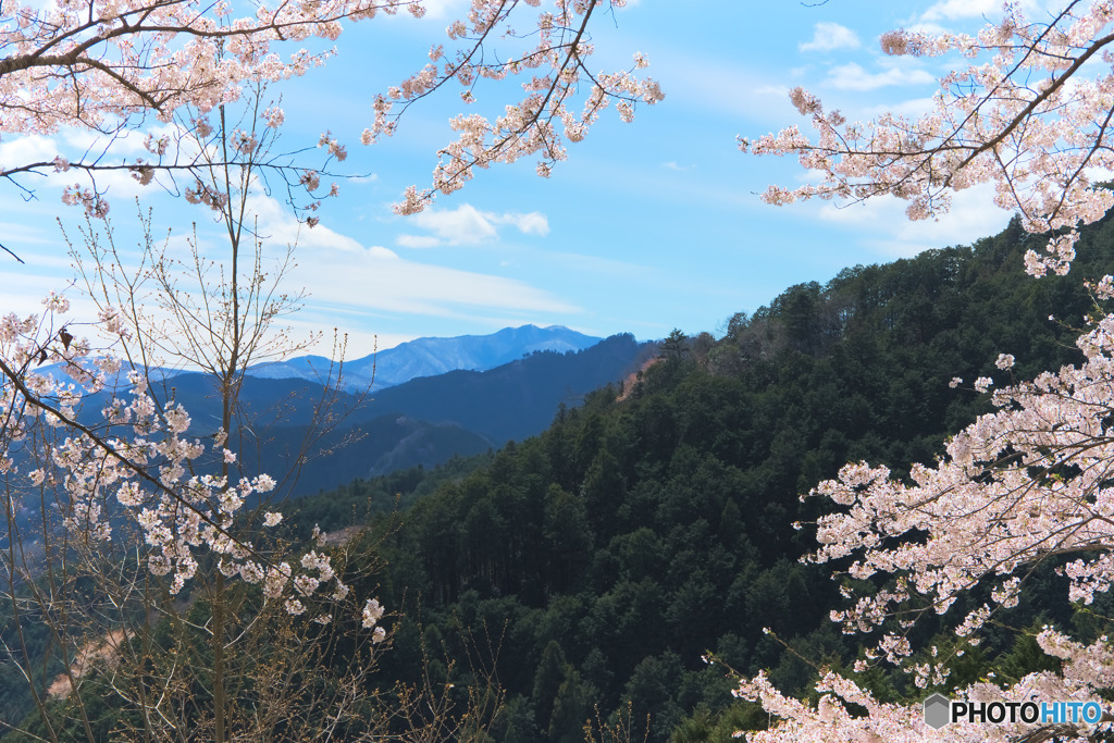 私も見て
