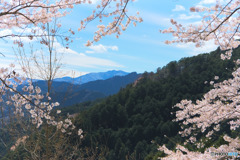 私も見て