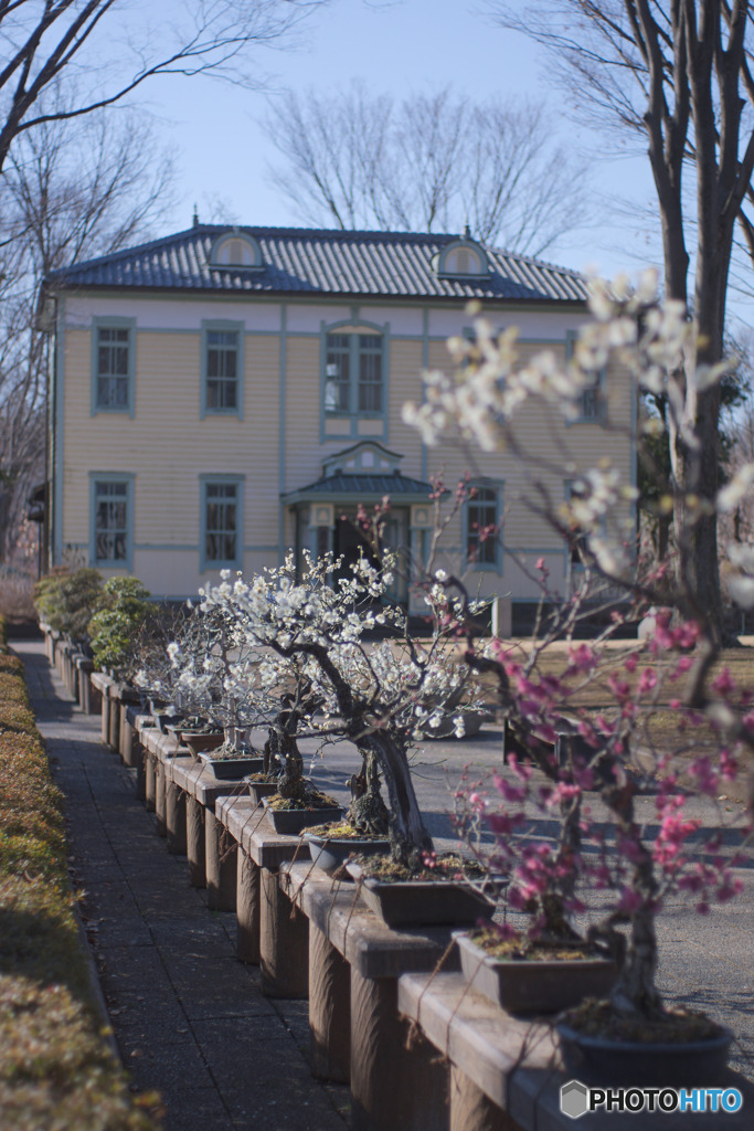 郷土の森博物館