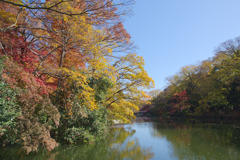 井の頭恩賜公園