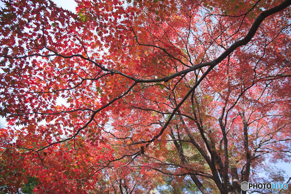 山本有三記念館