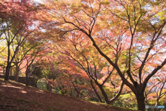 中間平緑地公園