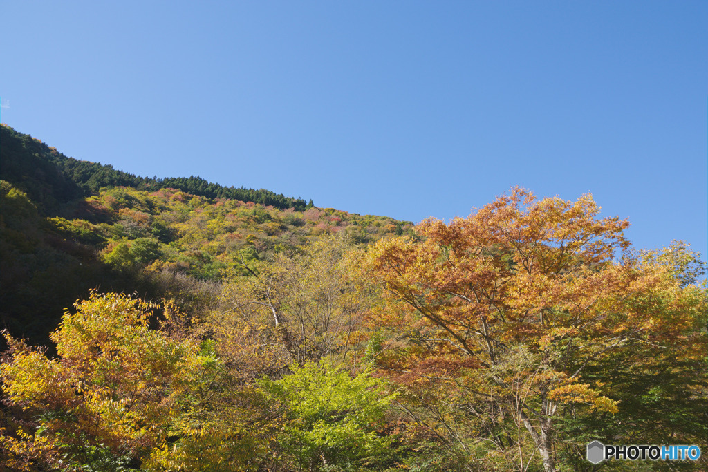 羽根戸トンネル