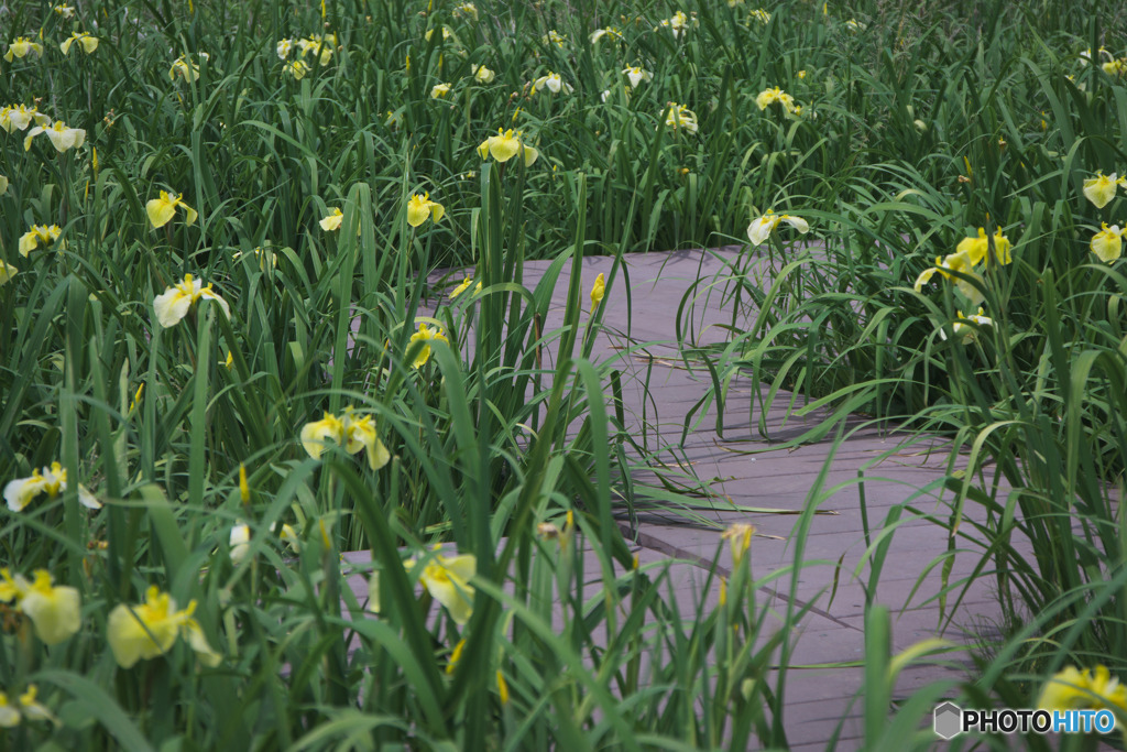 千貫樋水郷公園