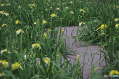 千貫樋水郷公園