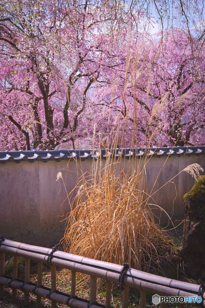 清雲寺