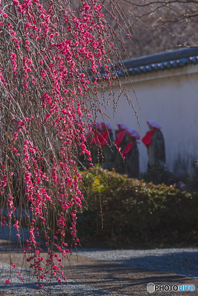 円通寺