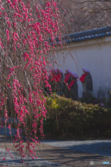 円通寺