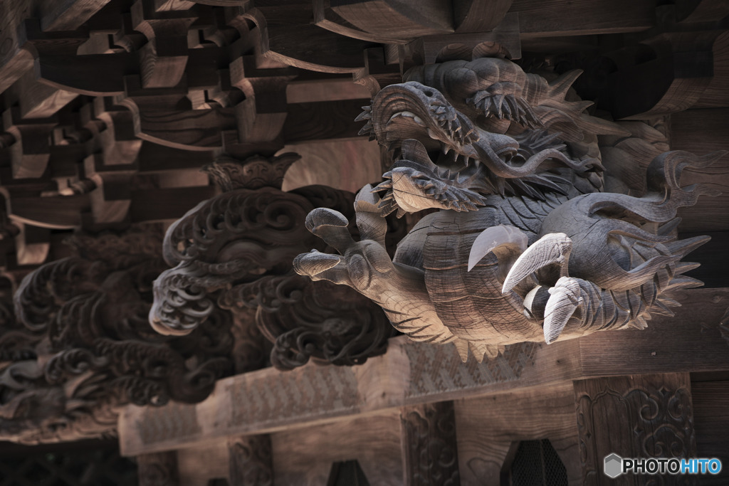 龍
