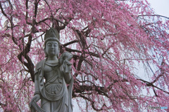 勝光寺の観音像