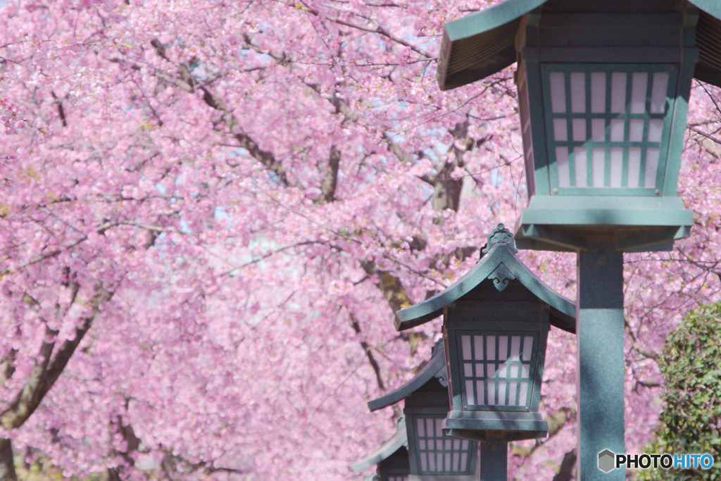 密蔵院