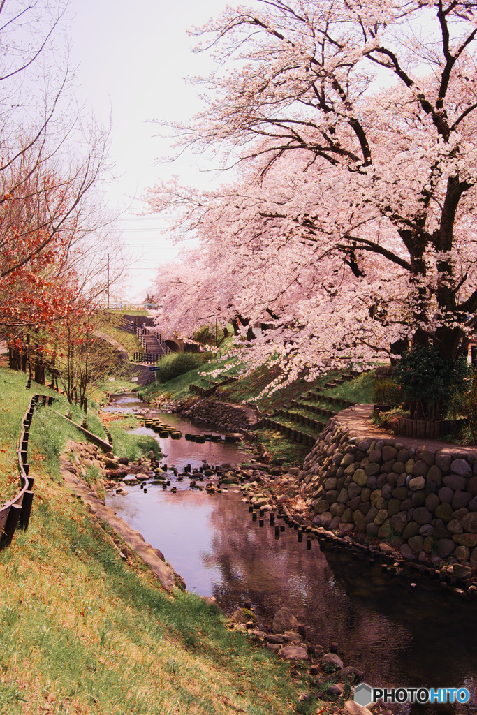 狭山池公園から