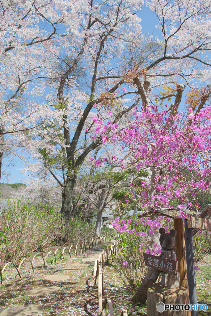 長念寺