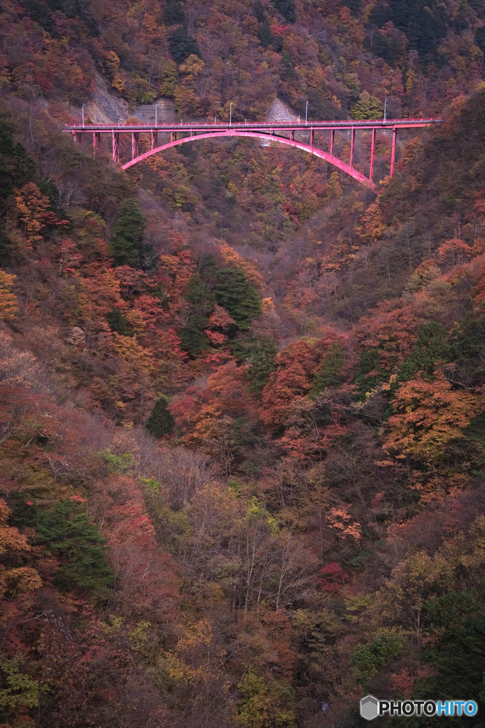 豆焼橋、雁坂大橋から