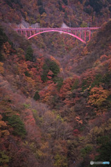 豆焼橋、雁坂大橋から