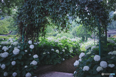 相模原麻溝公園