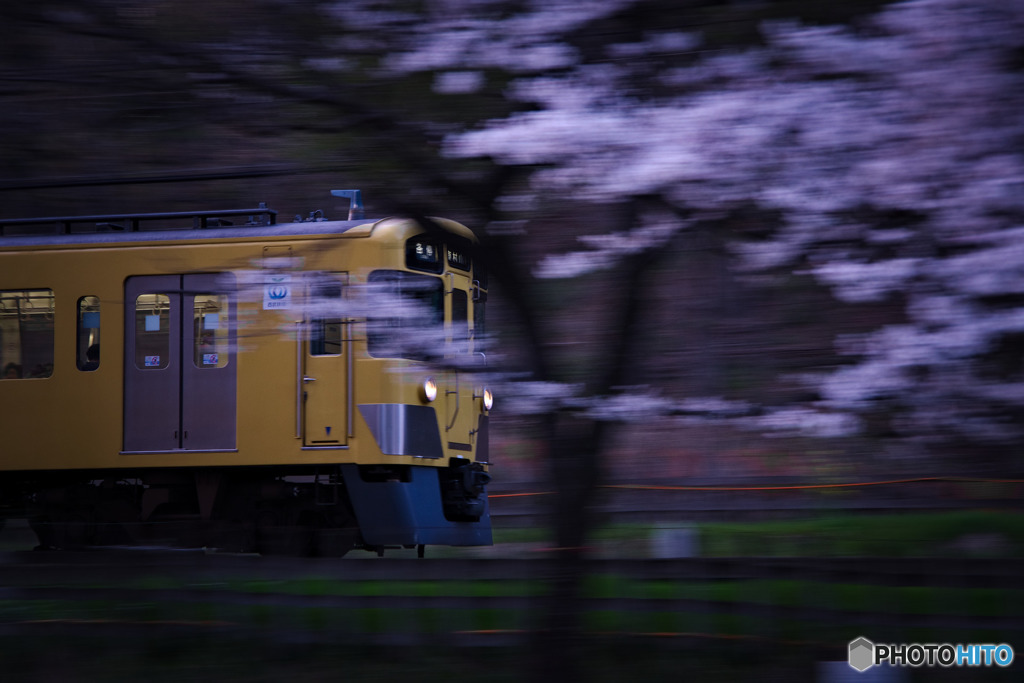 桜鉄道